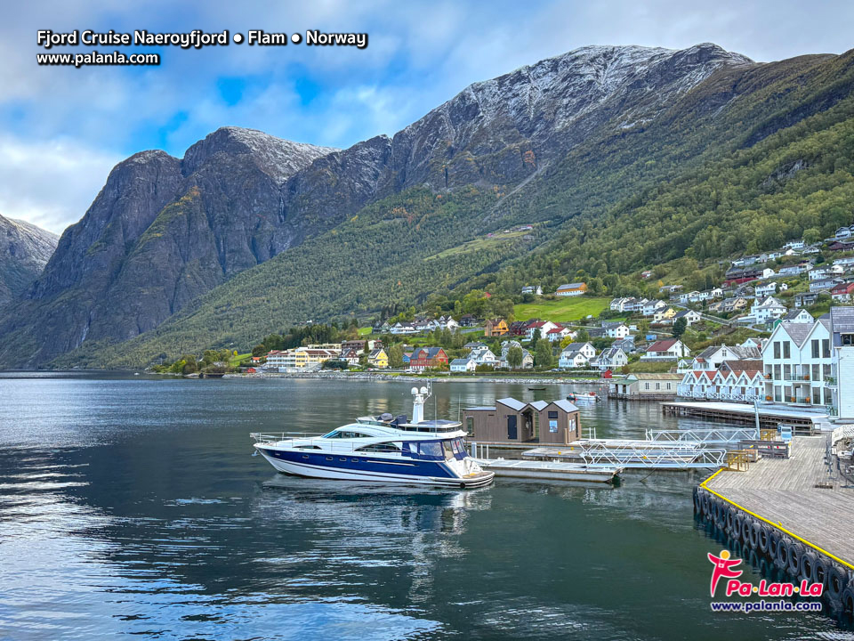 Fjord Cruise Naeroyfjord